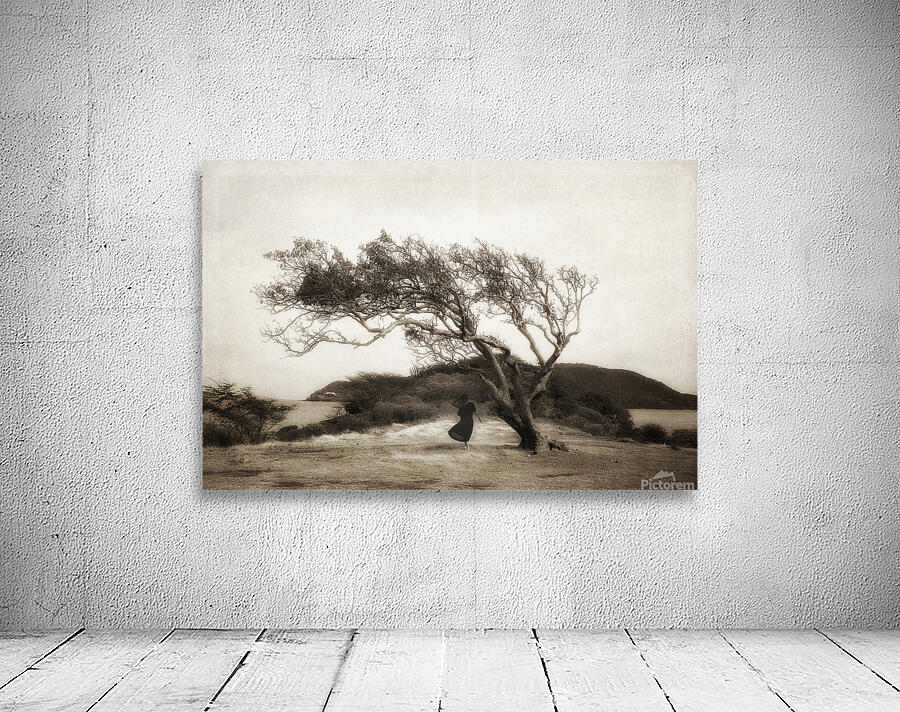 Lone Tree Hill Wall Preview