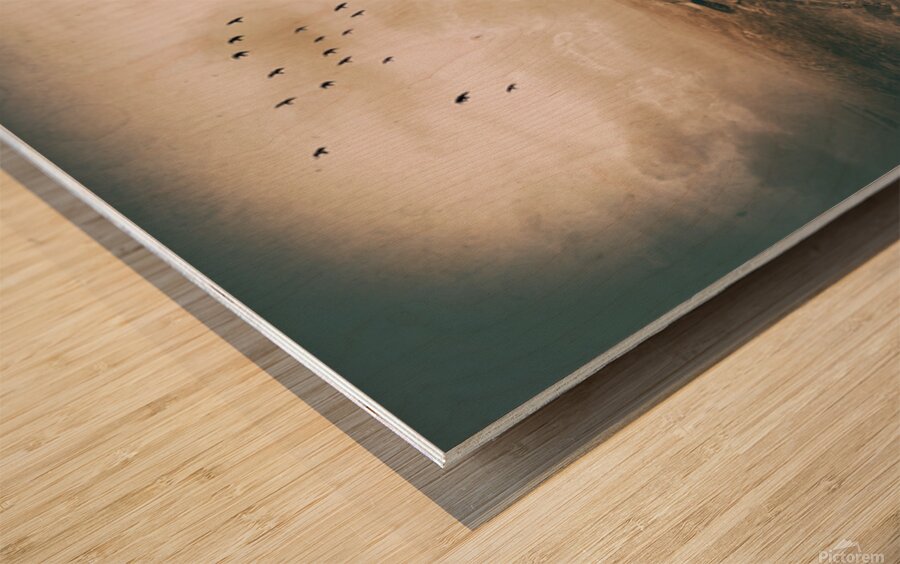World on Fire Wood print
