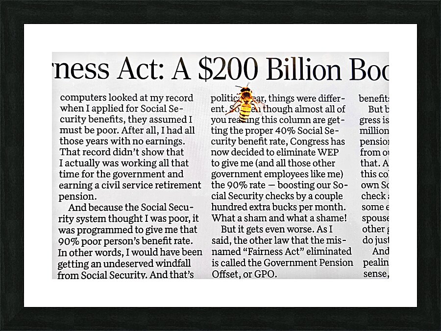 Bee on newspaper text Picture Frame print