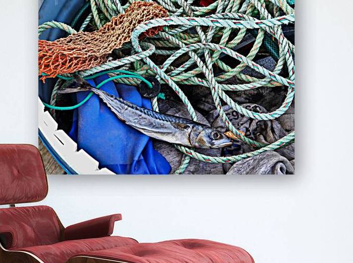 Atlantic mackerel with fishing rope and net by Creative Endeavors - Steven Oscherwitz