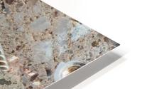 Fossil shells mosaic HD Metal print