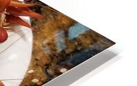 Boiled Crayfish HD Metal print