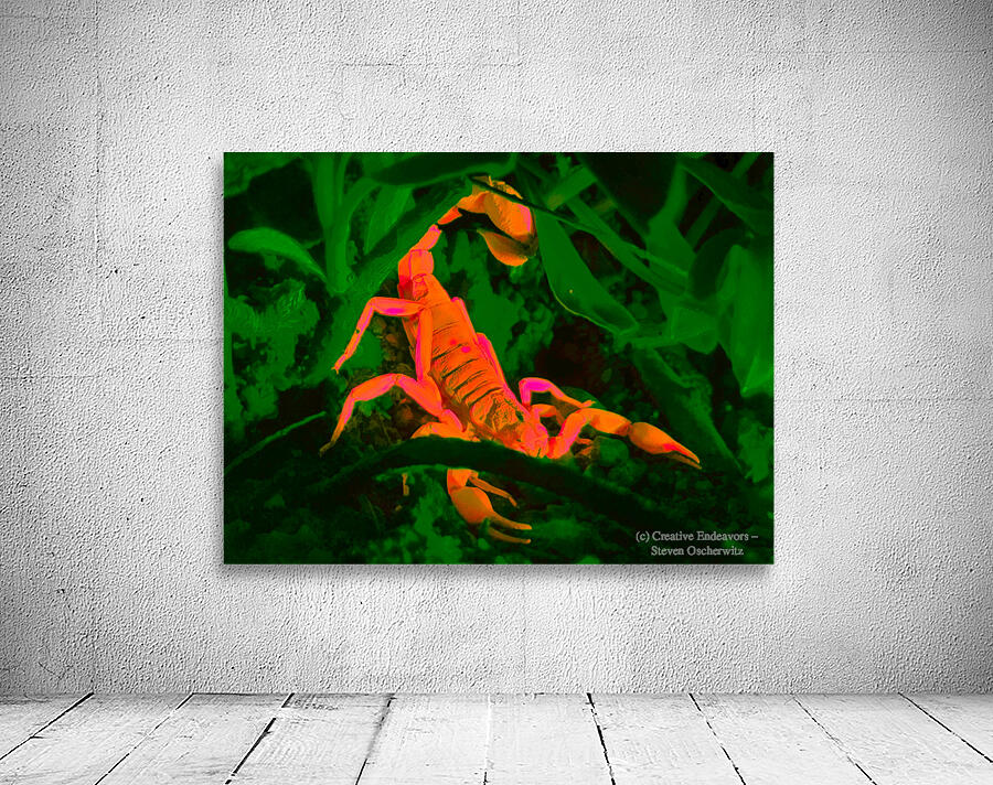 Fluorescing colorized scorpion Wall Preview