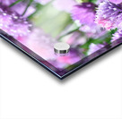 Colorful Chives Acrylic print
