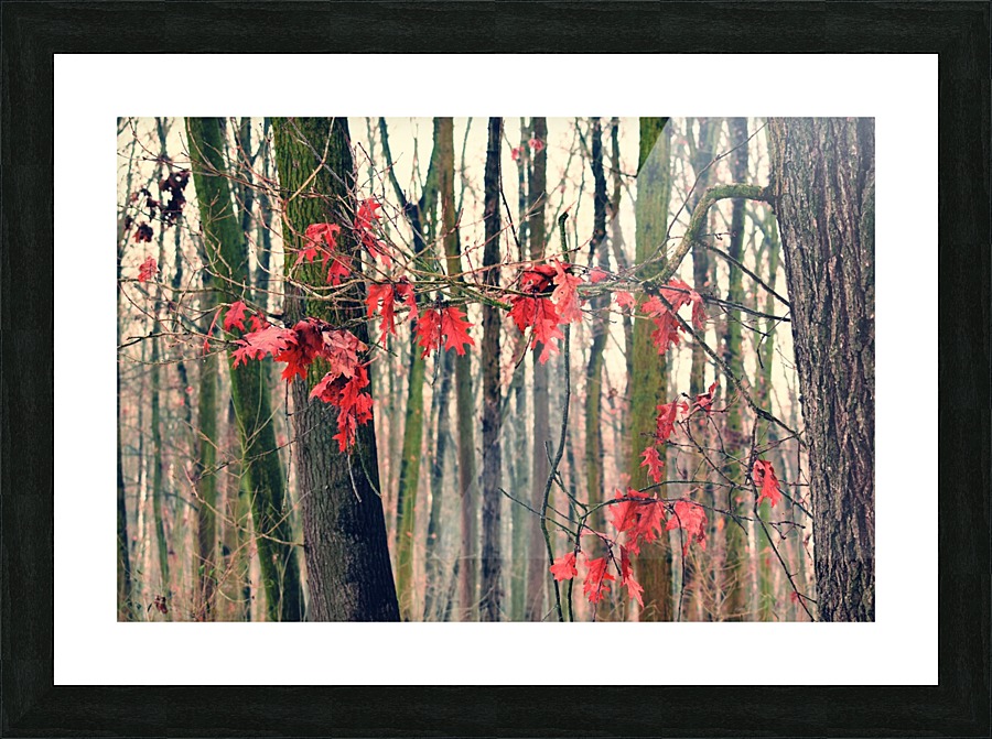 Red Leaves Picture Frame print