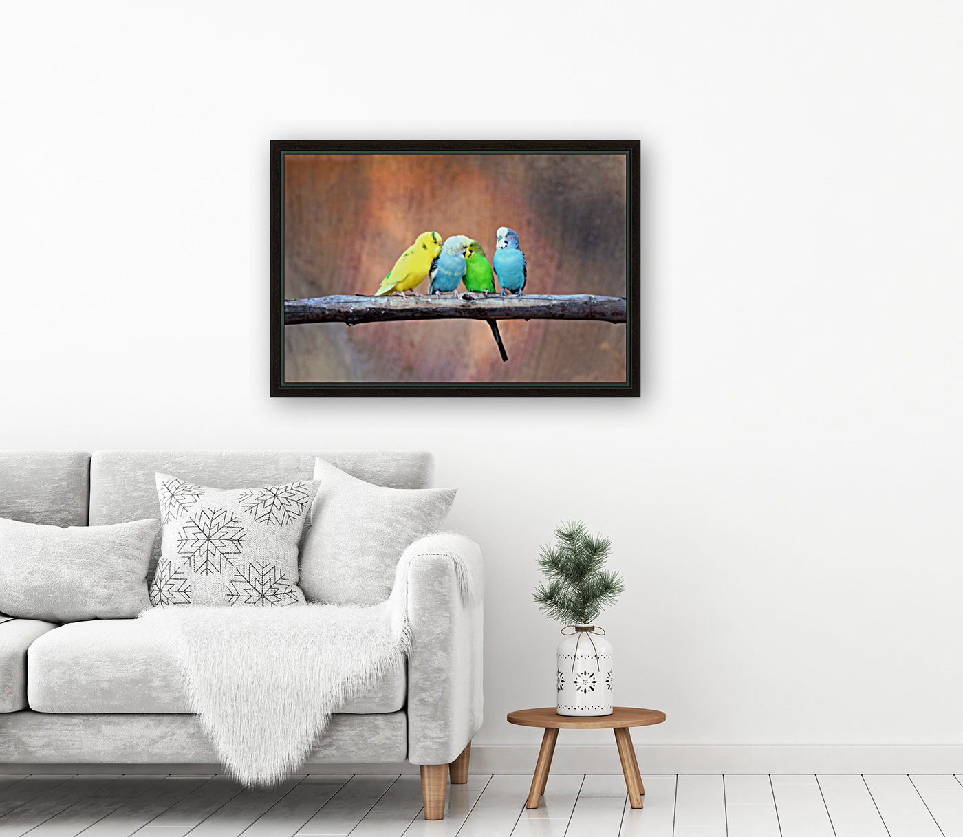 Flirting Parakeets Reproduction