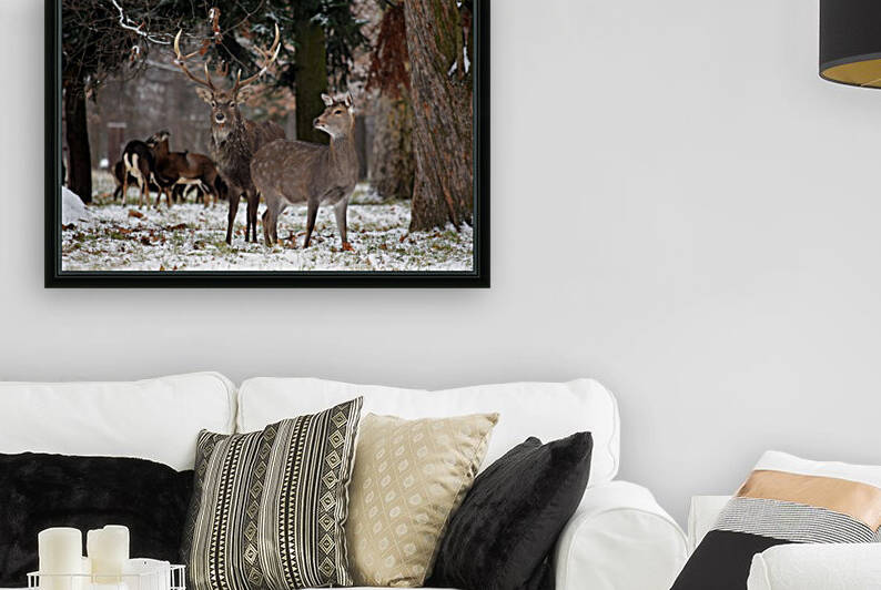 Beautiful Deer Couple in the Forest Winter by Kikkia Jackson