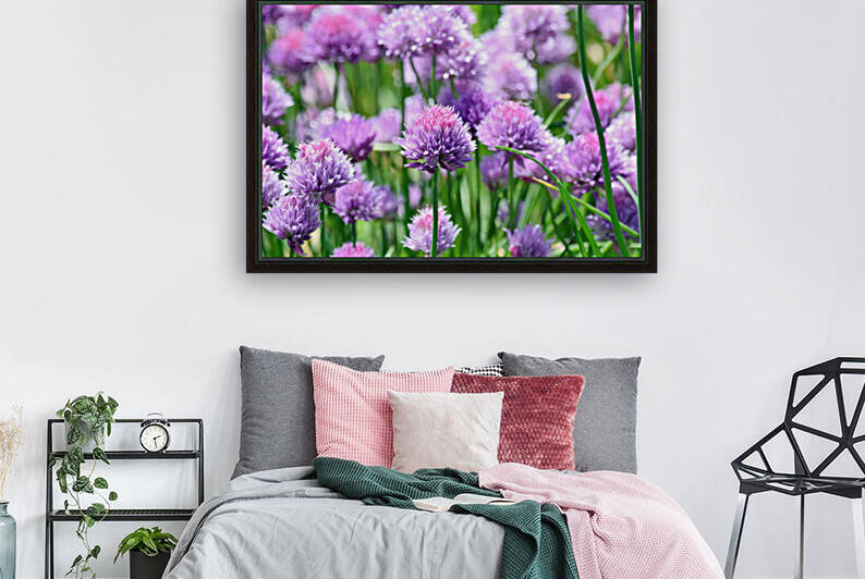 Colorful Chives by Kikkia Jackson