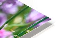 Colorful Chives HD Metal print