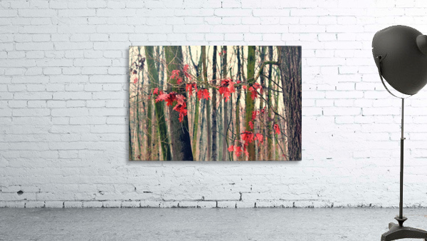 Red Leaves Wall Preview