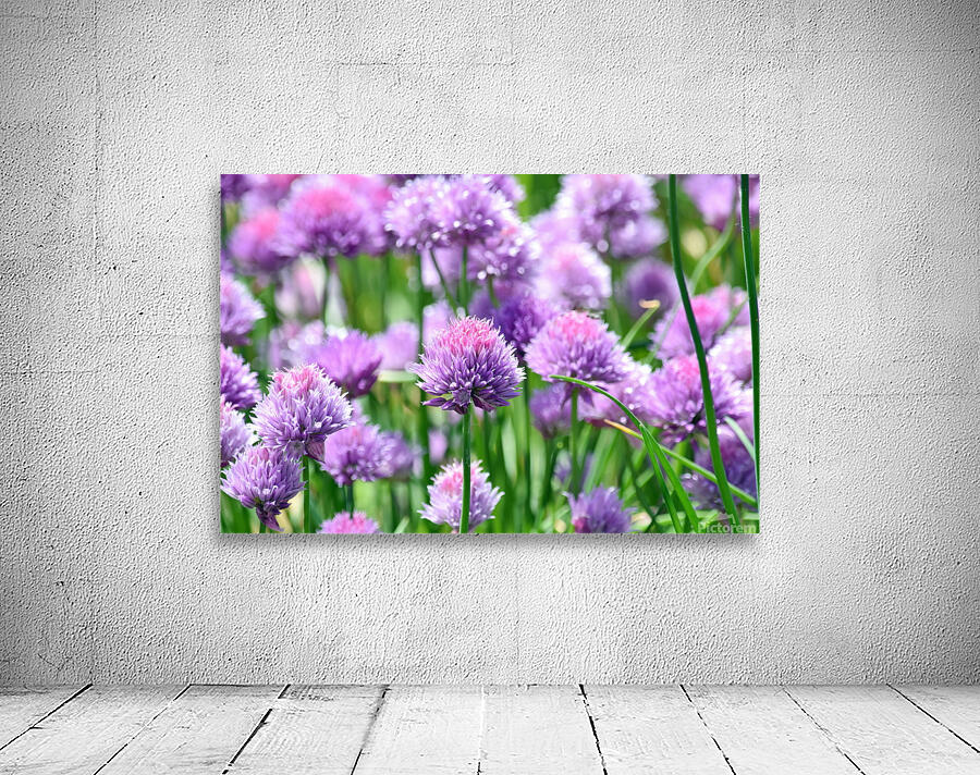 Colorful Chives Wall Preview