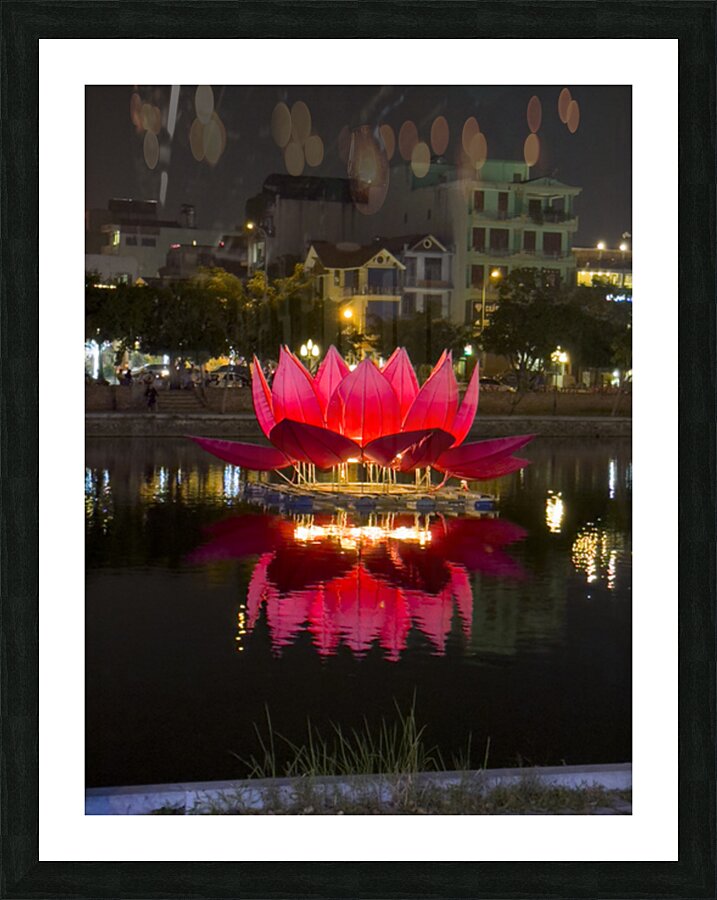 Lotus Hoa Lu  Picture Frame print