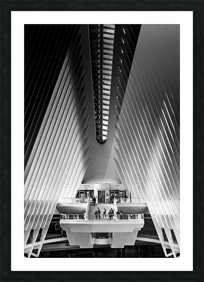Oculus Picture Frame print