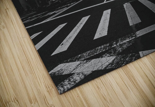 Manhattan Street Rogelio Arocho II puzzle