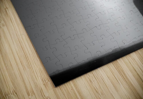 Icarus Chris Kalbach puzzle