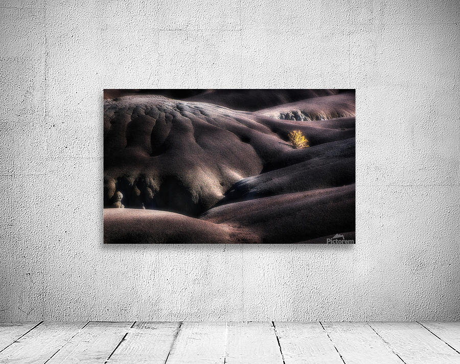 The Black Place Wall Preview