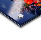 Christmas Display 2 Acrylic print