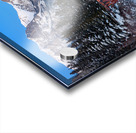 Policeman s Creek Bridge 1 BW Acrylic print