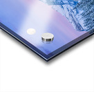 Policeman s Creek Walking Trail Acrylic print