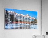 Policeman s Creek Bridge 1 BW Acrylic Print