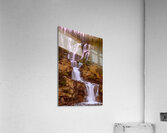 Tangle Falls Acrylic Print