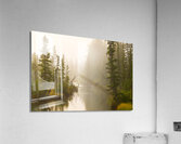 Misty Creek Acrylic Print