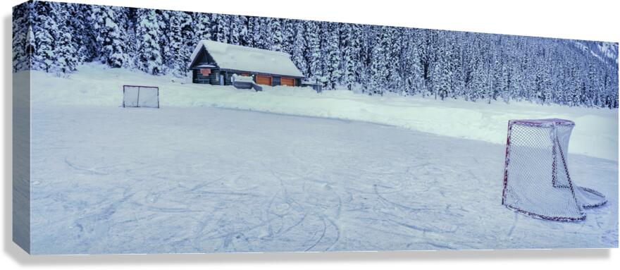Hockey Net Canvas Print