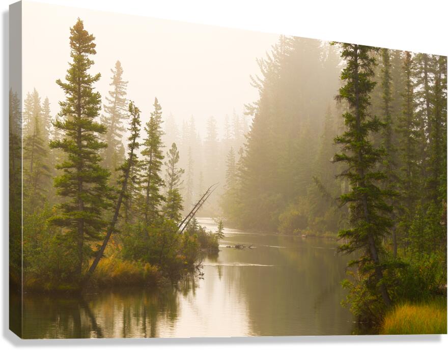 Misty Creek Canvas Print