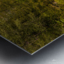 Cabin   3 Valley Lake Metal print