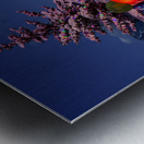 Christmas Display 2 Metal print