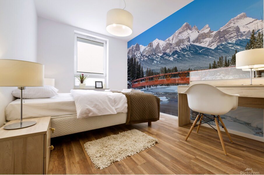 Policeman s Creek Bridge 1 BW Mural print