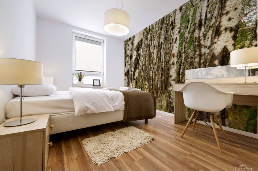 Popular Trees Mural print