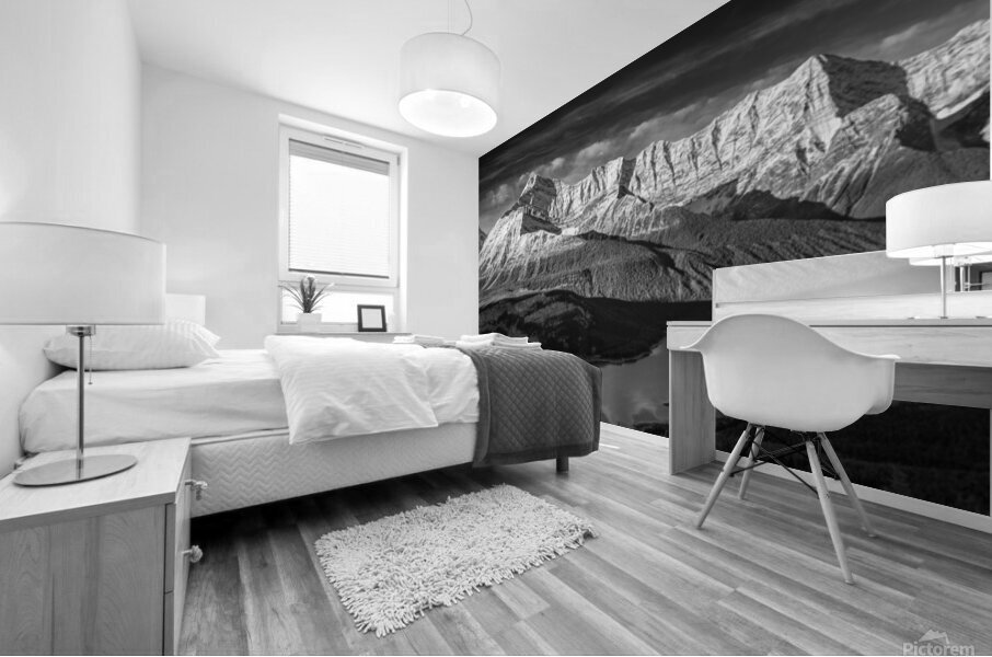Spray Lake View 13 Mural print