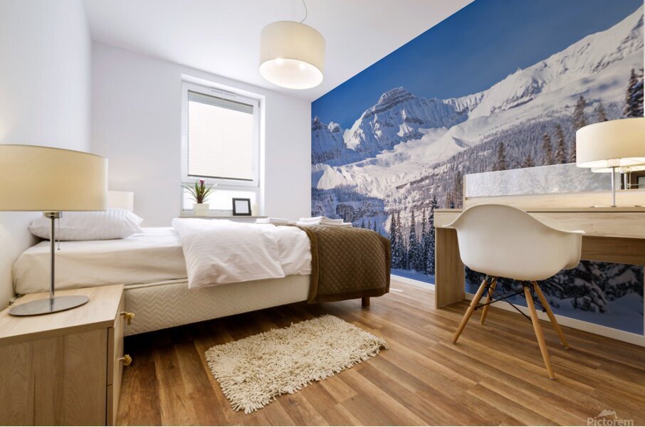 Boom Lake Winter Mural print