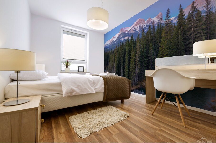 Bow Valley Freight Train 1 Mural print
