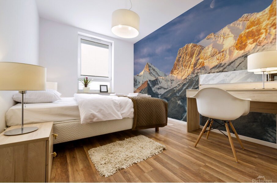 Bow Valley Range 2 Mural print