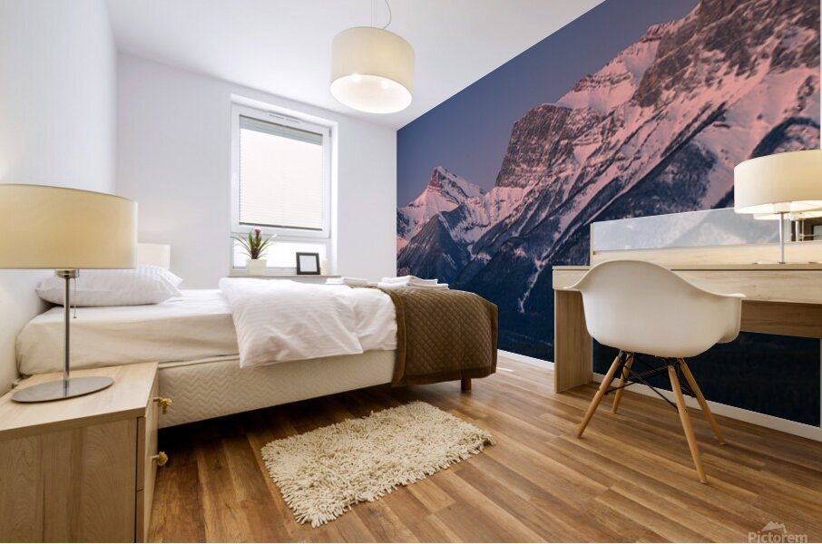 Bow Valley Range 3 Mural print