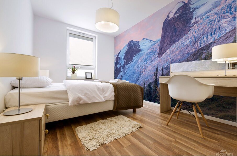 Bugaboo Mountains 2 Mural print