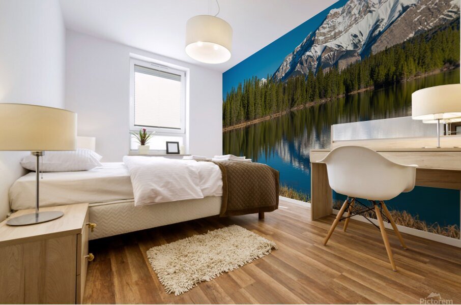 Cascade Reflection Mural print