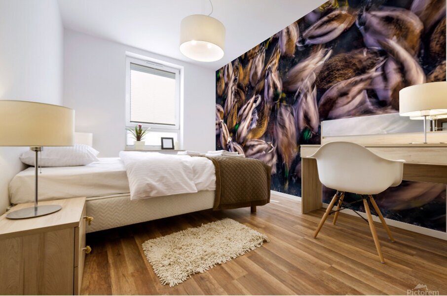 Ducks in Motion Mural print