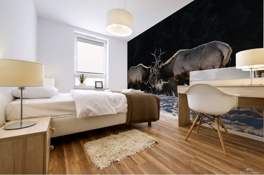 Dueling Elk Mural print