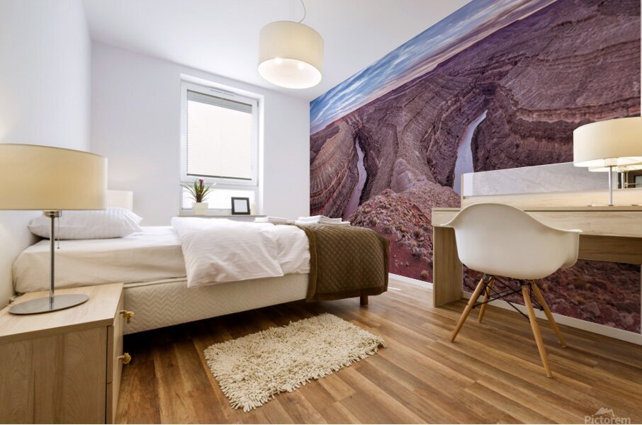 Goosenecks State Park 1 Mural print