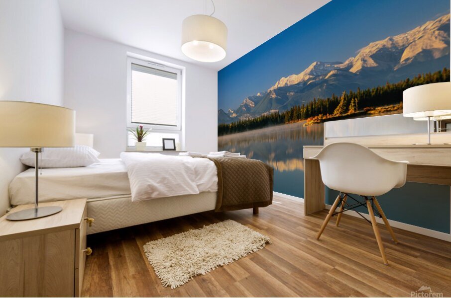 Hector Lake 2 Mural print