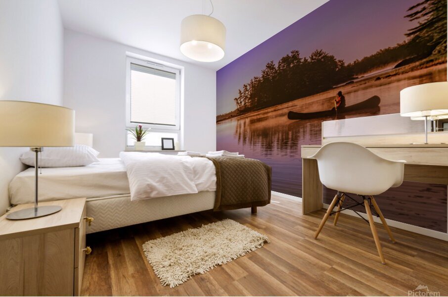 Morning Paddle Mural print
