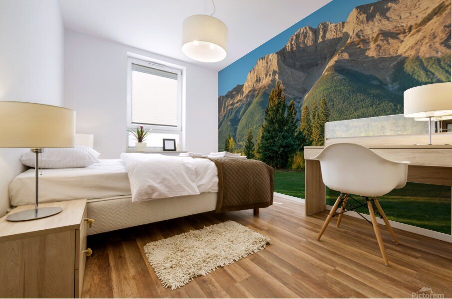 Riverside Park 2 Mural print