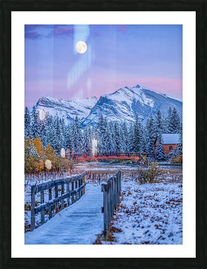 Policeman s Creek Walking Trail Picture Frame print