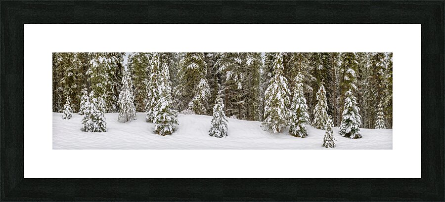 Snowy Trees Picture Frame print