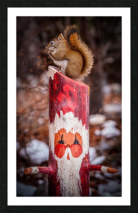 Squirrel and Santa Picture Frame print