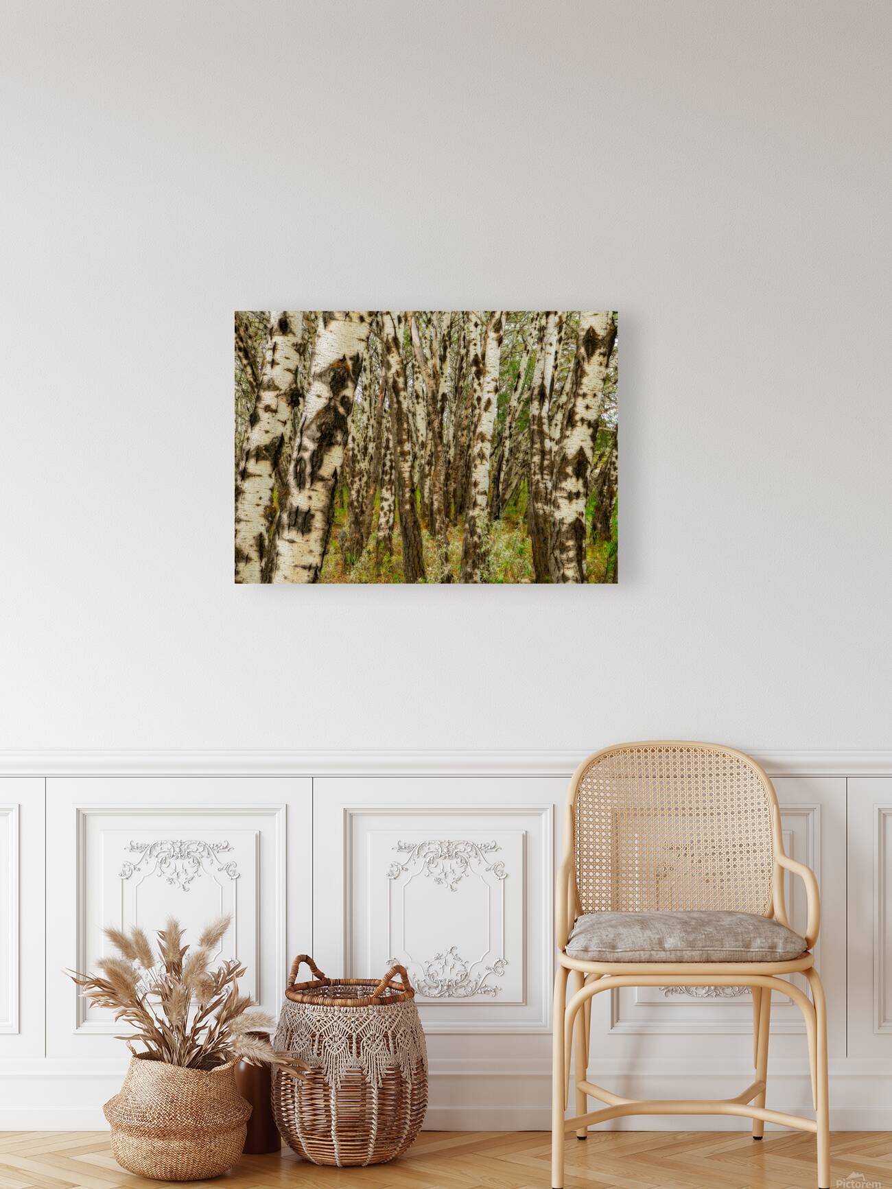 Popular Trees Reproduction
