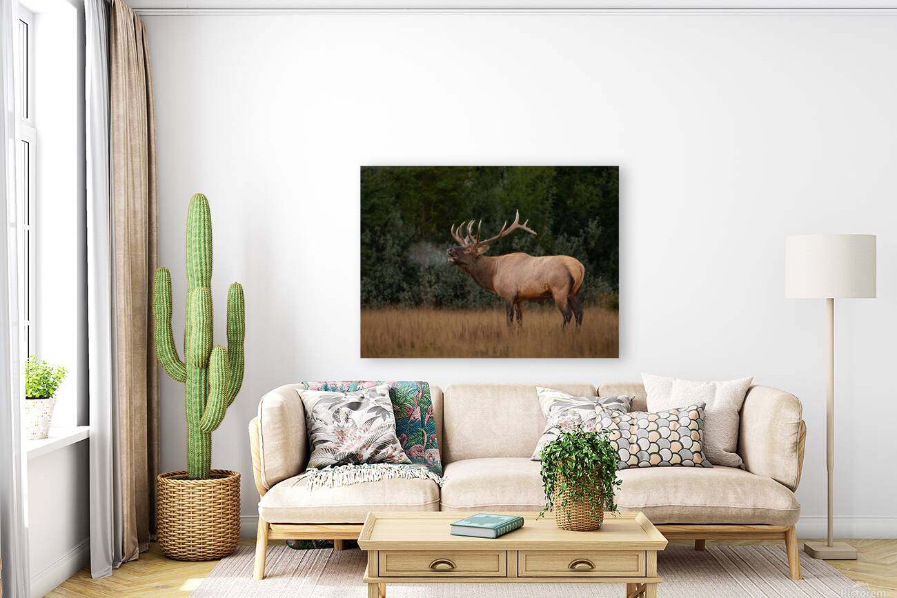 Bugling Elk Reproduction
